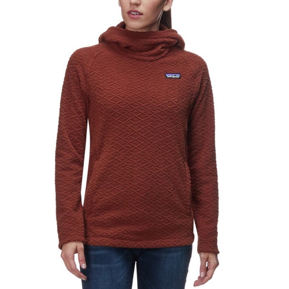 NWT Patagonia Diamond Capra Fleece Hoodie